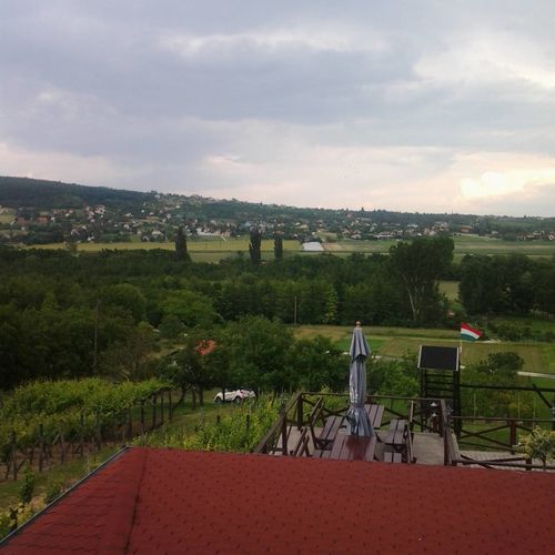 Vilmos Pince Hévíz  4