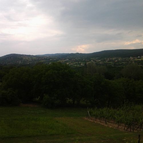 Vilmos Pince Hévíz  2