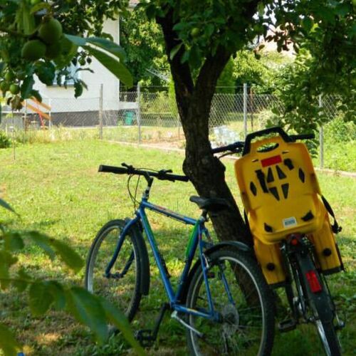 Lackó Kuckó Balatonlelle  4