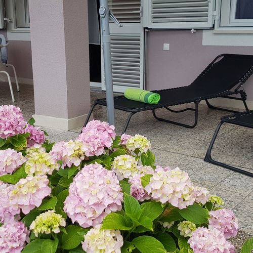 Apartman Obitelji Rajnović Crikvenica  3