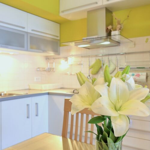 Apartman Bluebell Zadar  3