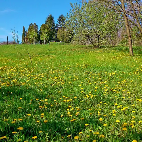 Balatoni Zöldkapus Vendégház Lesencetomaj 031 kép