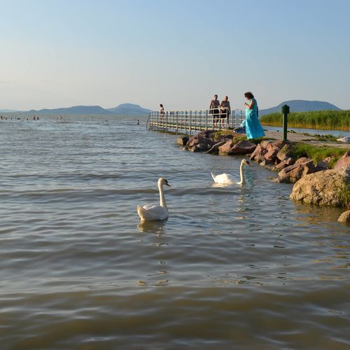 Maurer Szálláshelyek Balatonfenyves  3