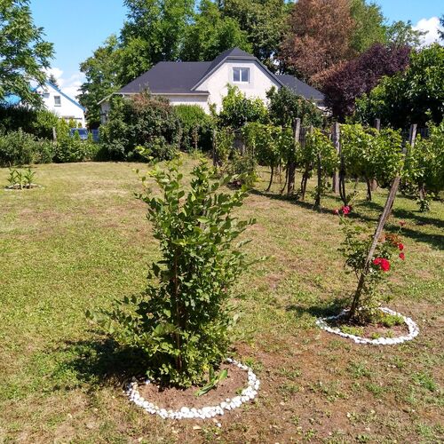 Béke Szigete a Balatonnál Gyenesdiás  2