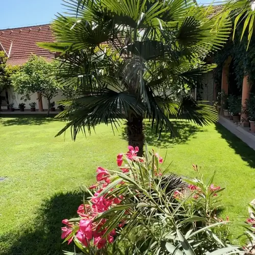 Vinum Wellness és Konferencia Hotel Kiskőrös 014 kép