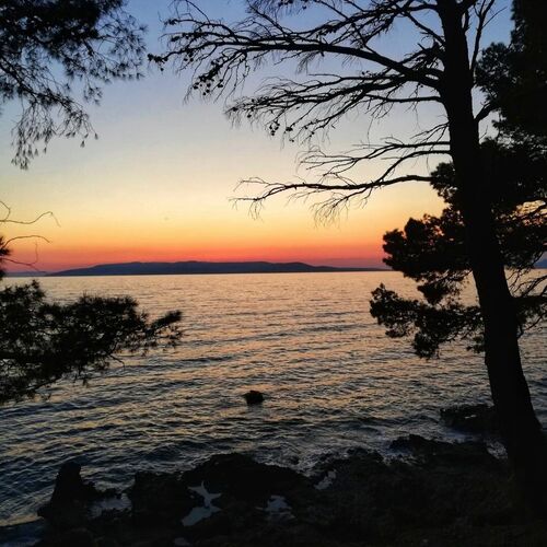 Apartmani Diana Makarska  3
