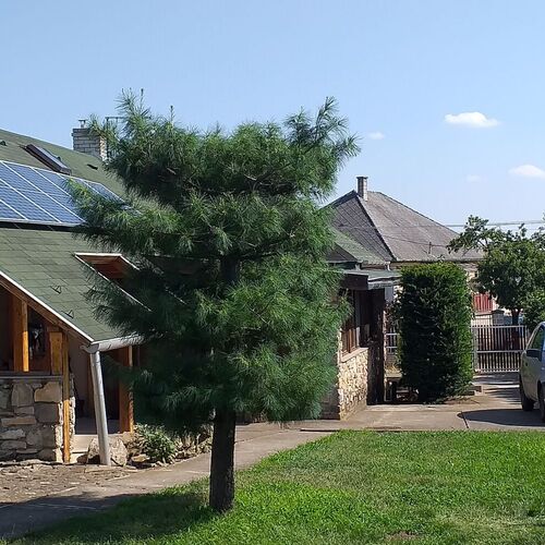 h&aacute;z / building