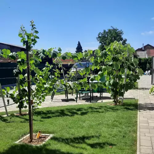 Elisabeth Apartman Bük 052 kép