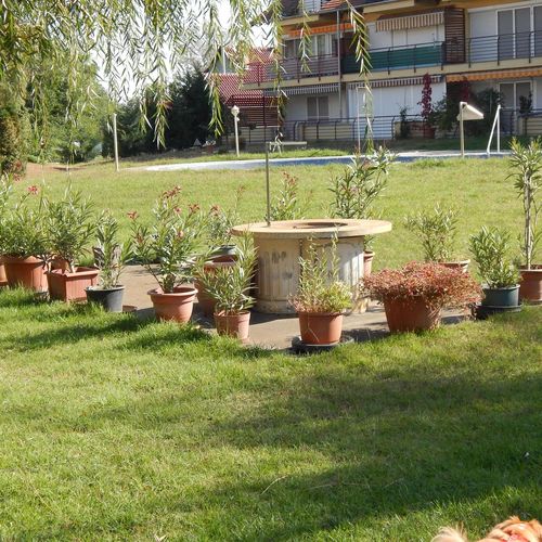 A lakópark kertje