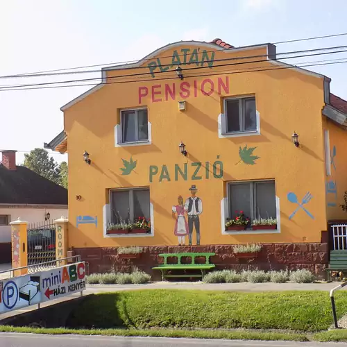 Platán Panzió Nyúl 002 kép