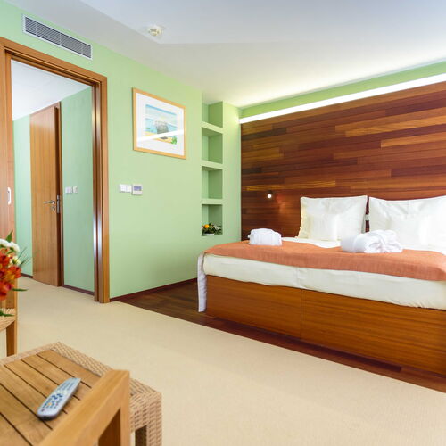 Double room Superior