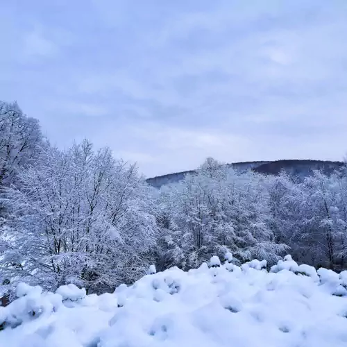 Rókabérc Vadászház Hotel Erdőbénye 019 kép