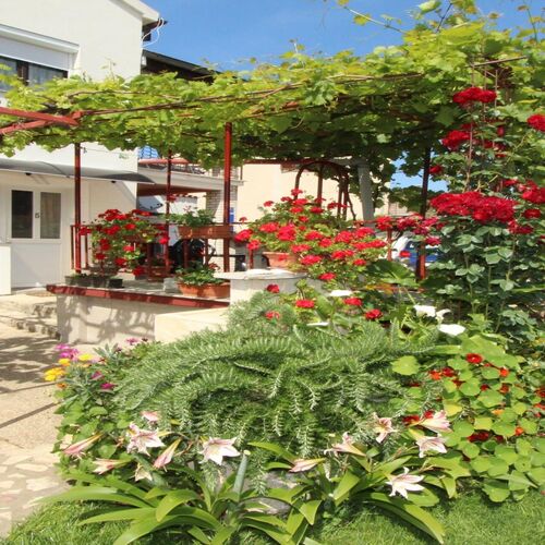 Apartman Eva Rovinj  2