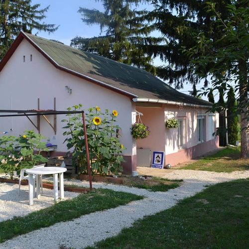 veľké veľkosti penisu