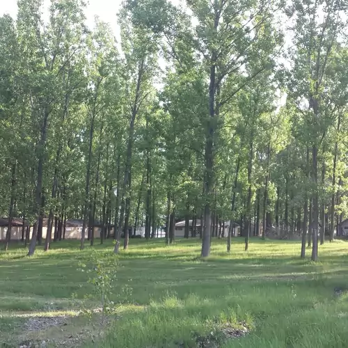 Nefelejcs Apartman Soltvadkert 003 kép