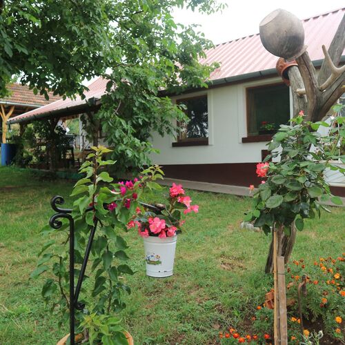 Udvar és a Vendégház