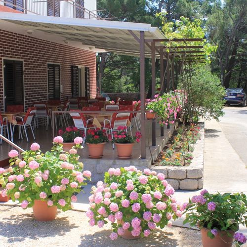 Apartmani Popo Starigrad  2