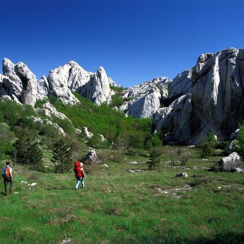 Apartmani Popo Starigrad  3
