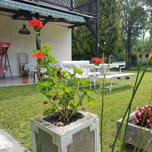 Villa Negra Retro Panzió Balatonföldvár  3