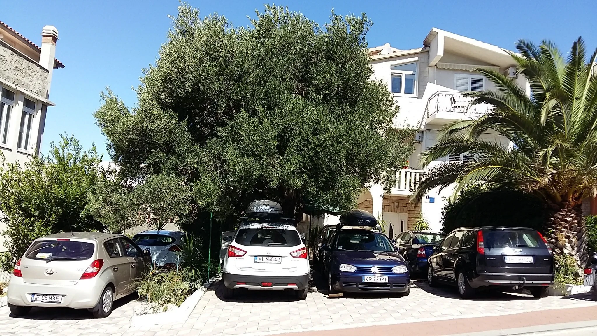 Vila Apartmani Sumic Makarska