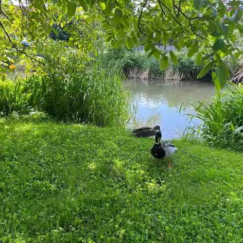 Suri Bau Apartman Mosonmagyaróvár 021 kép
