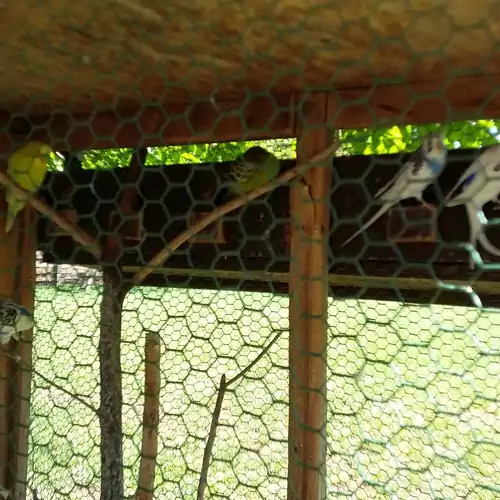 Tamás-tanya Lovas Vendégház Debrece 010 kép