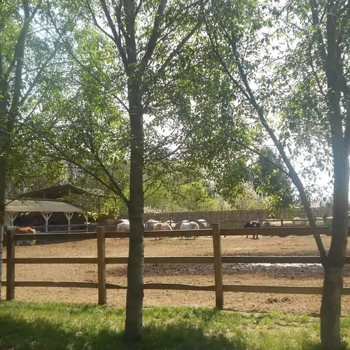 Tamás-tanya Lovas Vendégház Debrece 014 kép