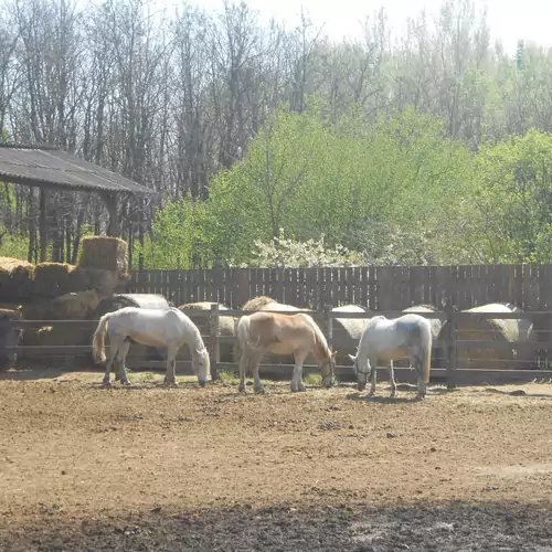 Tamás-tanya Lovas Vendégház Debrece 006 kép