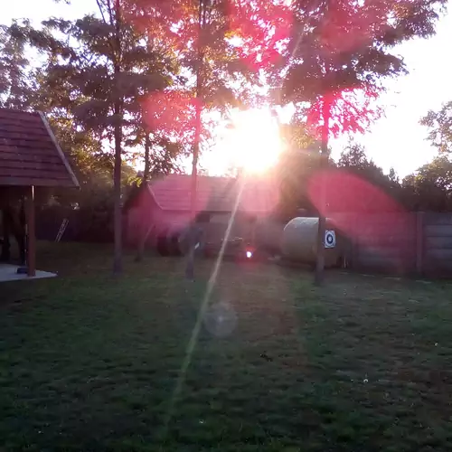 Íjász Tanya Kamut 008 kép