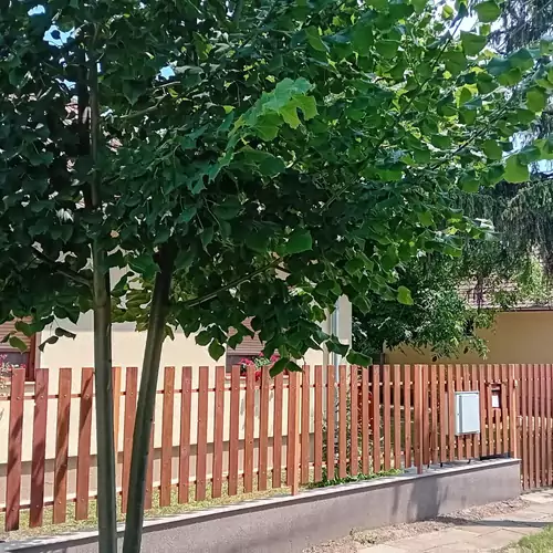 Íjász Tanya Kamut 014 kép