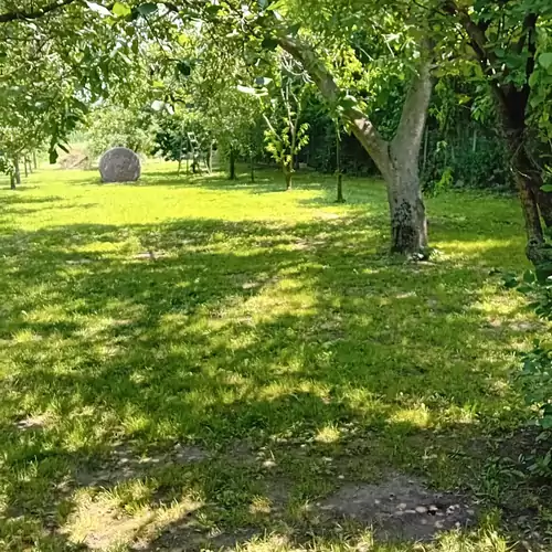 Íjász Tanya Kamut 040 kép