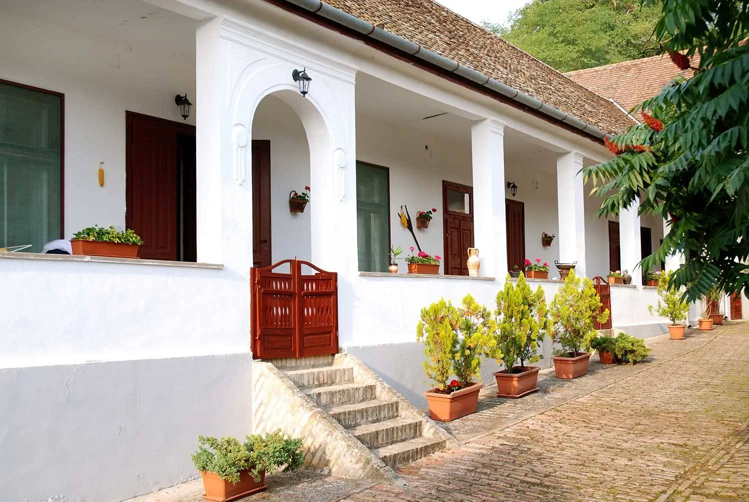 Szabó-Bali Vendégház Villánykövesd