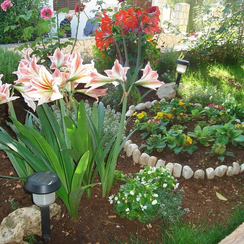 Apartman Mia Trogir  3