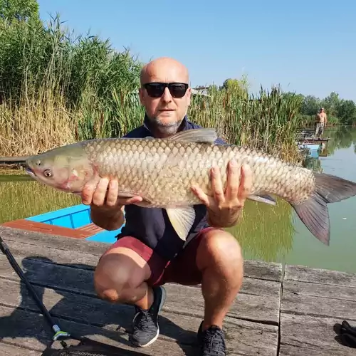 Vidravár Vendégház Tabdi 013 kép