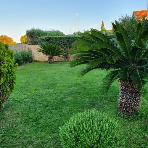 Apartment Lucija Supetar  3