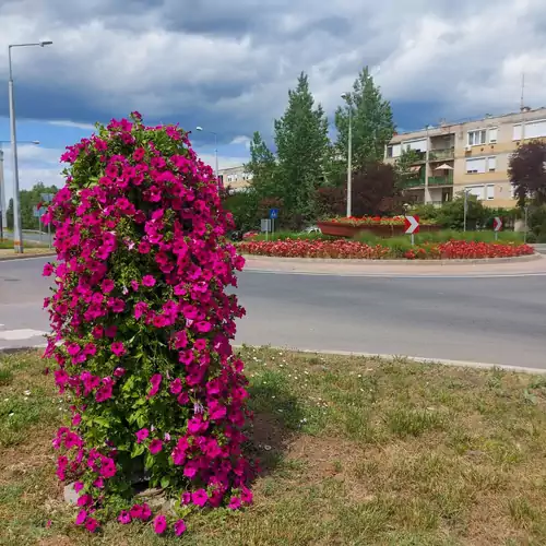 Kerekerdő Vendégház Tiszafüred 049 kép