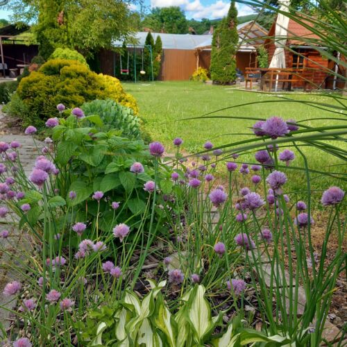 Kormos Apartmanház Szilvásvárad