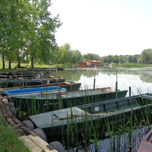 Csónakok a kikötőben