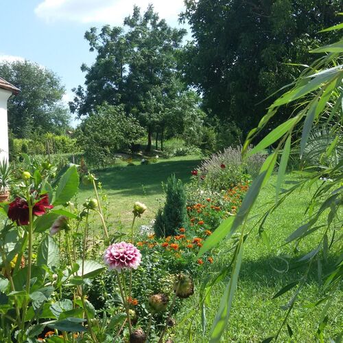 Rendeki Vendégház Csabrendek