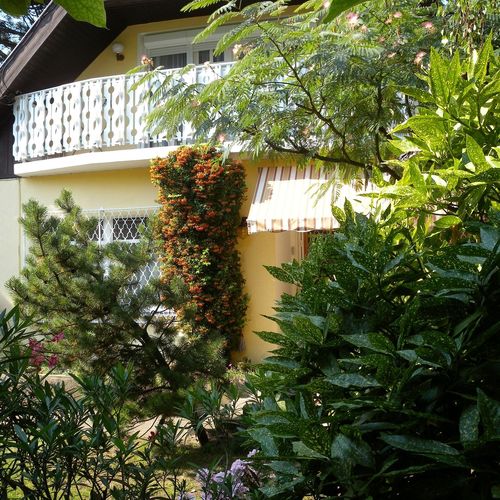 Szalai Apartman Siófok  2