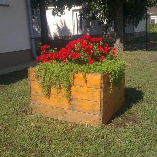 Fénykép belső udvarról