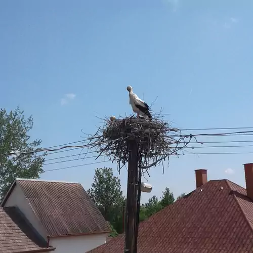 Tiszavirág Vendégház Falusi Szálláshely Kisar 005 kép