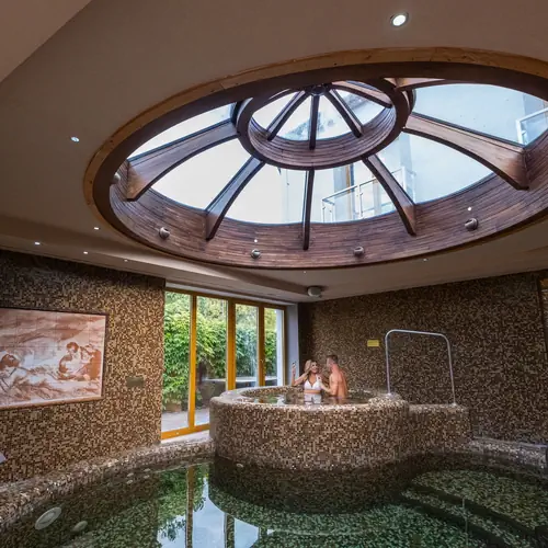 Wellness r&eacute;szleg