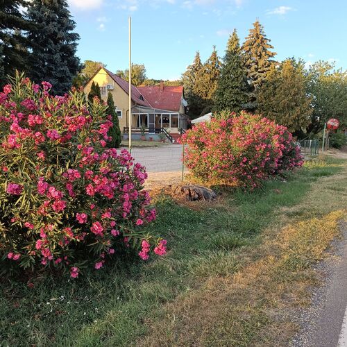 Arcadia Étterem és Vendégház Ábrahámhegy