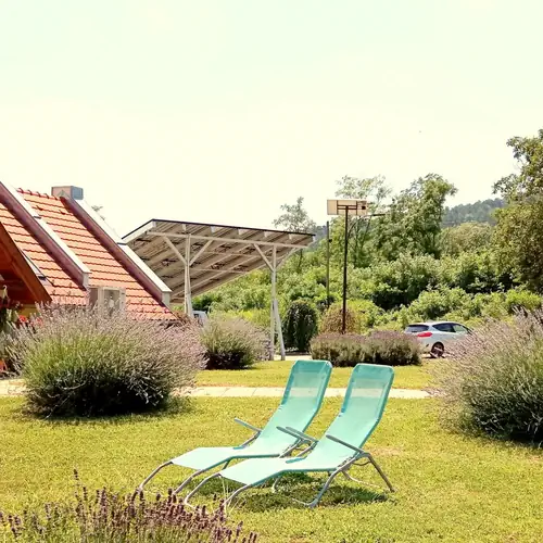 Sz&aacute;ll&aacute;s udvara