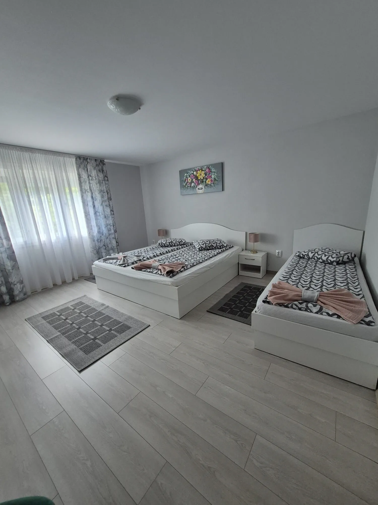 Casa de Oaspeți Anna Sovata