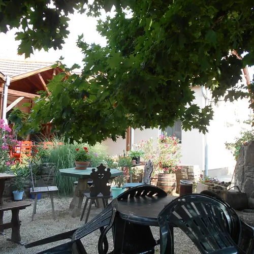 F&eacute;nyk&eacute;p a kertről