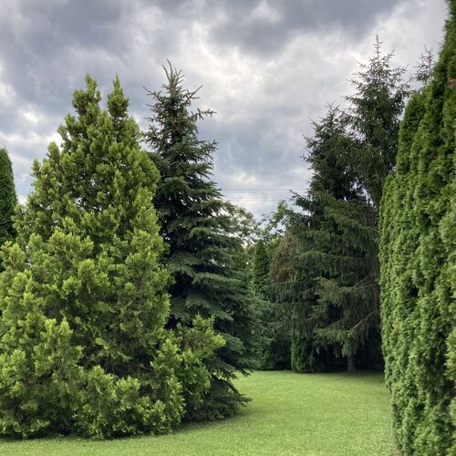 Az Anna apartman kertje