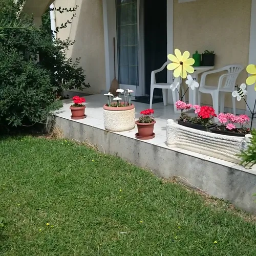 F&eacute;nyk&eacute;p a kertről