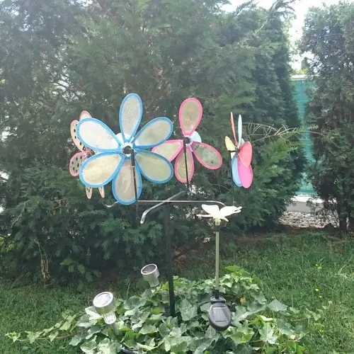 F&eacute;nyk&eacute;p a kertről